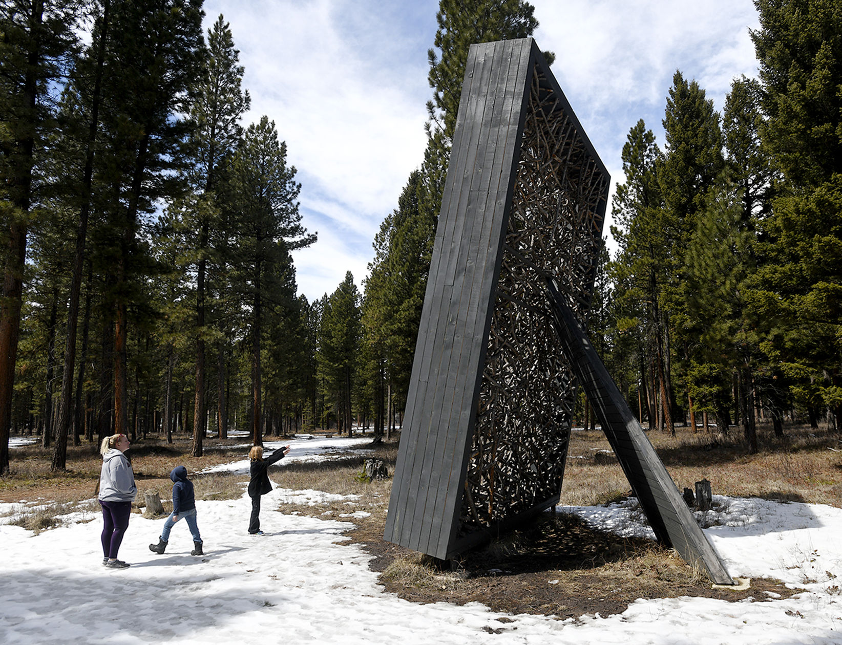 Sculpture Wild 5